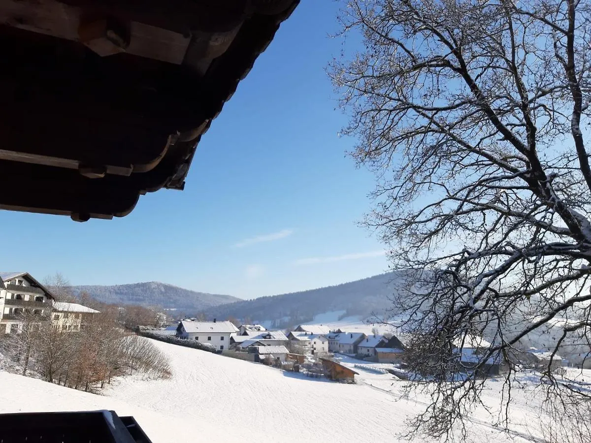Ferienwohnung Freudensee Im Bayerischen Wald - Pool, Sauna Hauzenberg Apartment